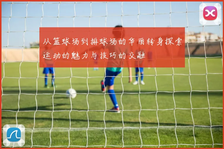 从篮球场到排球场的华丽转身探索运动的魅力与技巧的交融