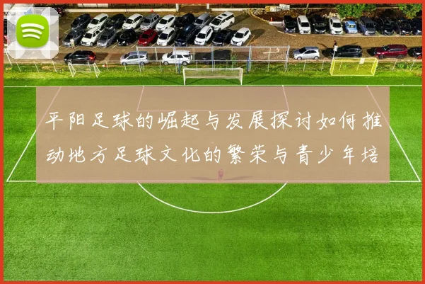 平阳足球的崛起与发展探讨如何推动地方足球文化的繁荣与青少年培养