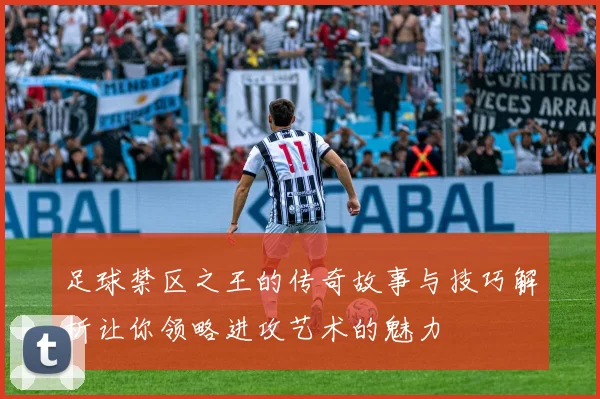 足球禁区之王的传奇故事与技巧解析让你领略进攻艺术的魅力